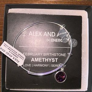 NWT!  Alex and Ani shiny silver finish amethyst bracelet.
